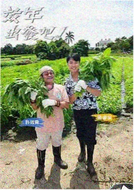久久精品在线视频推理综艺奇妙探案局
